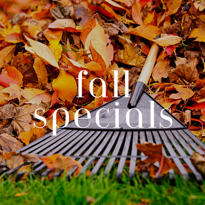 Fall Specials