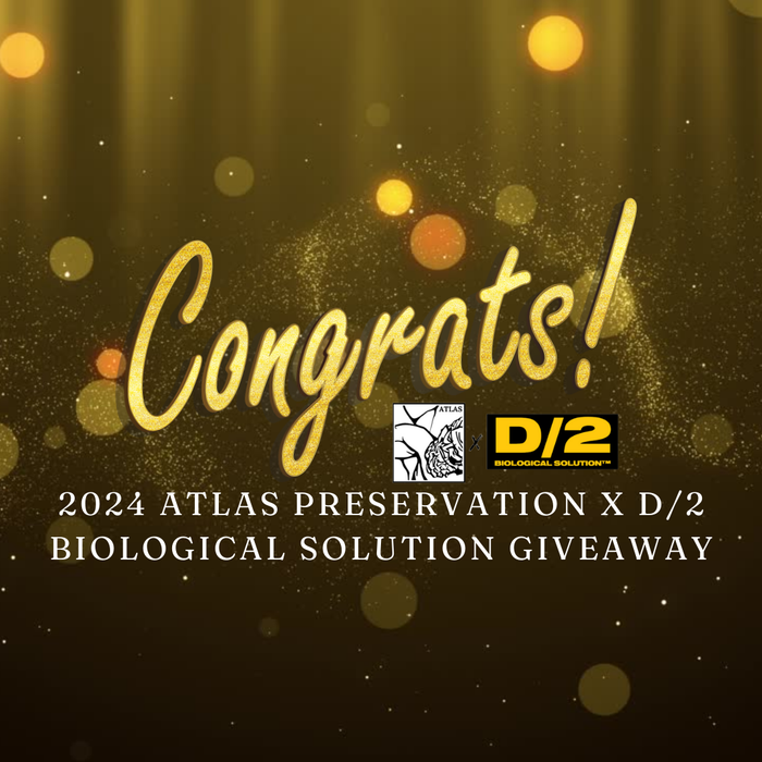 2024 Atlas x D/2 Giveaway Winners