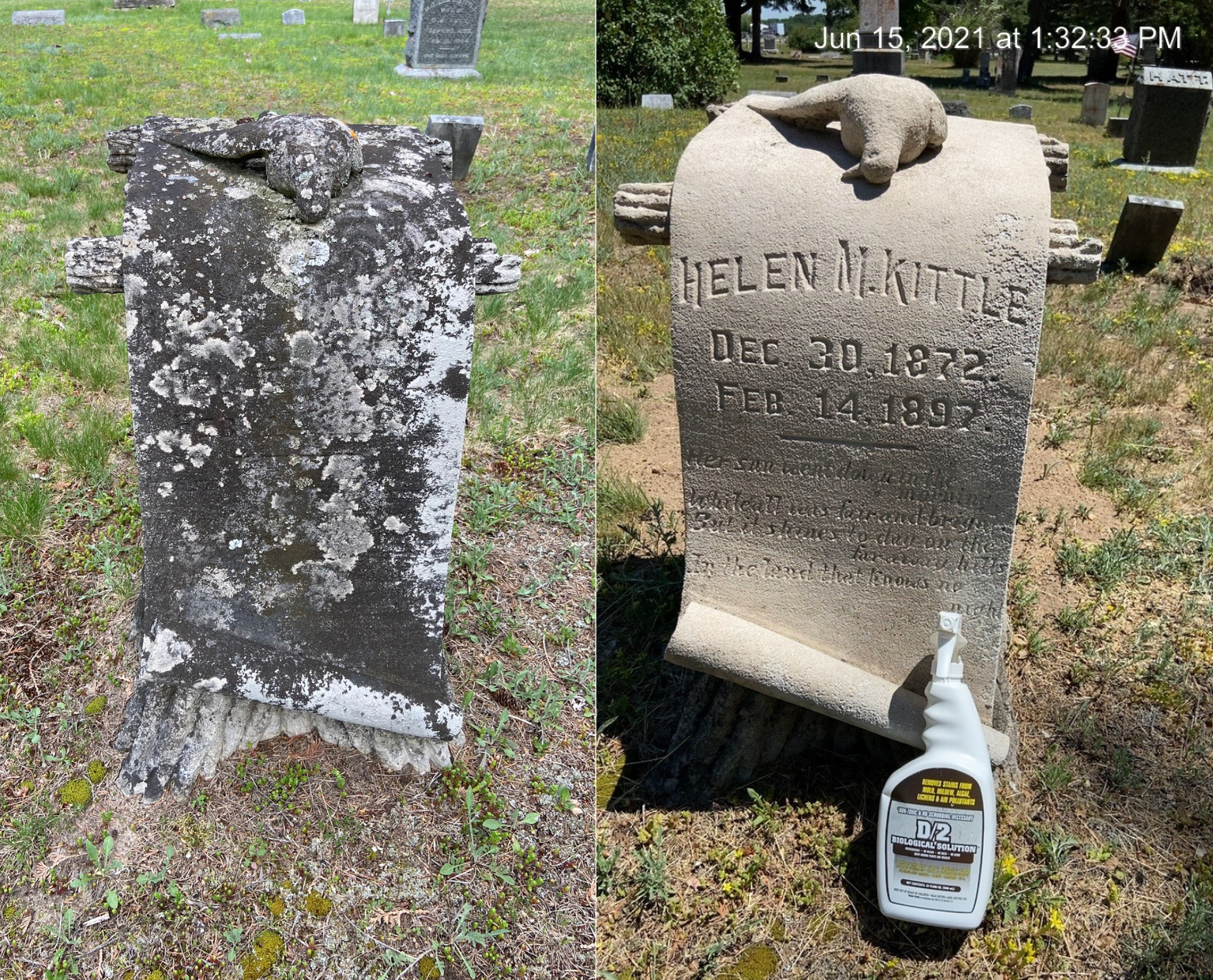 How to Clean a Gravestone with D/2 Biological Solution