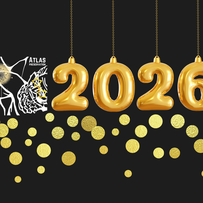2026 New Year Countdown