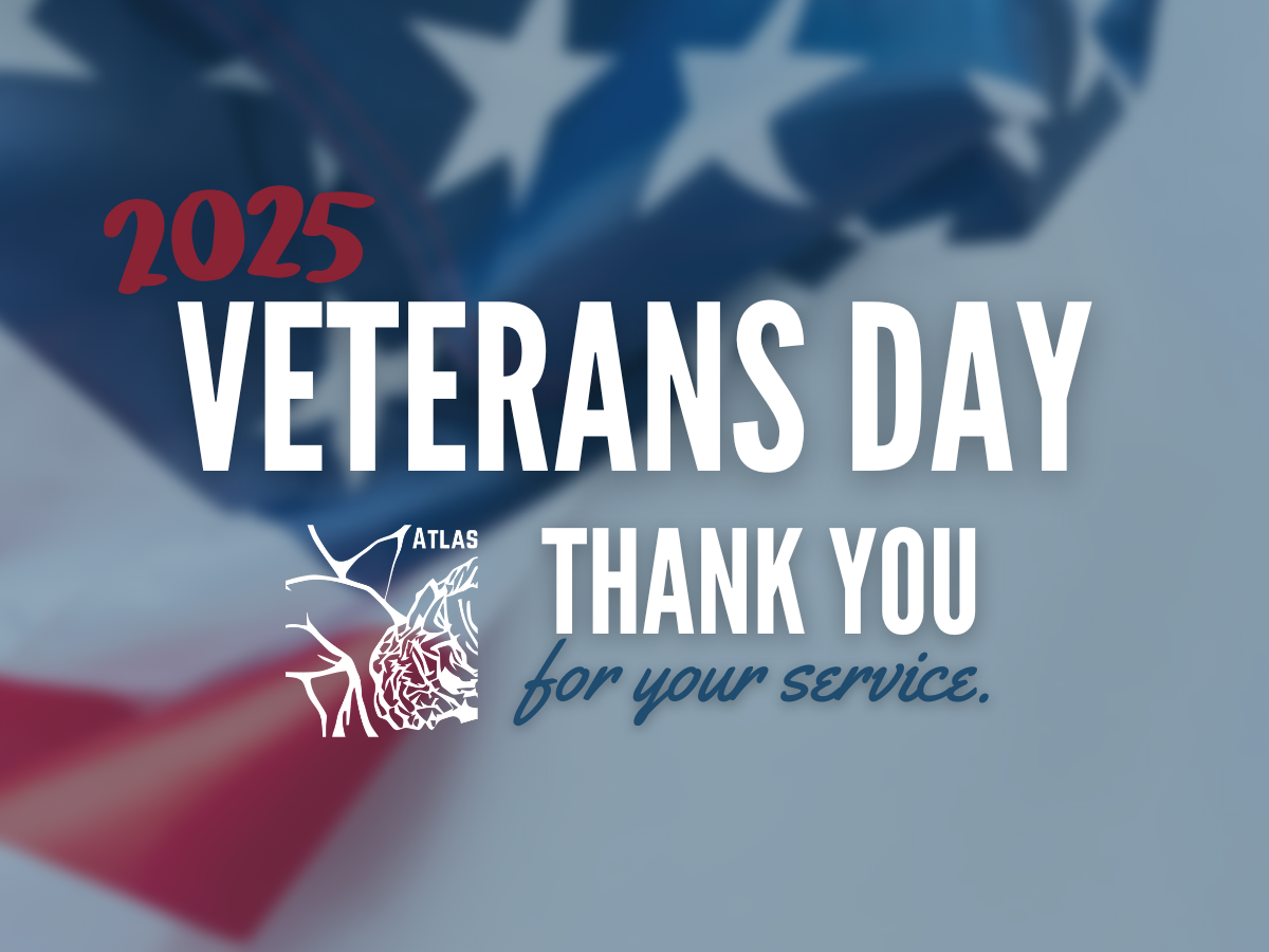 Veterans Day - Thank you for your service