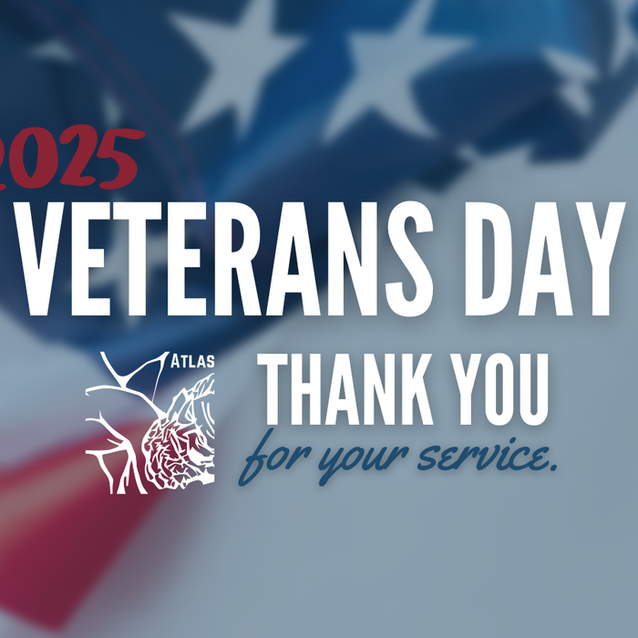 Veterans Day - Thank you for your service