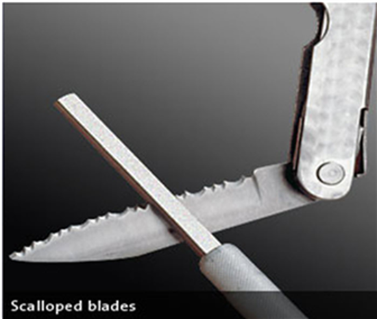 Diamond Tool Sharpener — Atlas Preservation