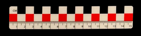 Photo Scales-Past Horizons-Atlas Preservation