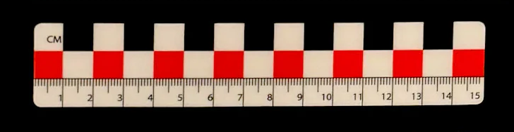 Photo Scales-Past Horizons-Atlas Preservation