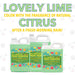 Watch Dog® All Purpose Citrus Paint Remover Gel-Dumond-Atlas Preservation