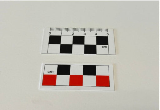 Photo Scales-Past Horizons-Atlas Preservation
