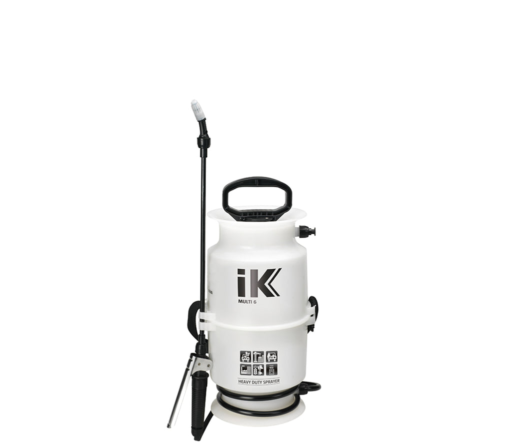 IK Multi 6 — Atlas Preservation
