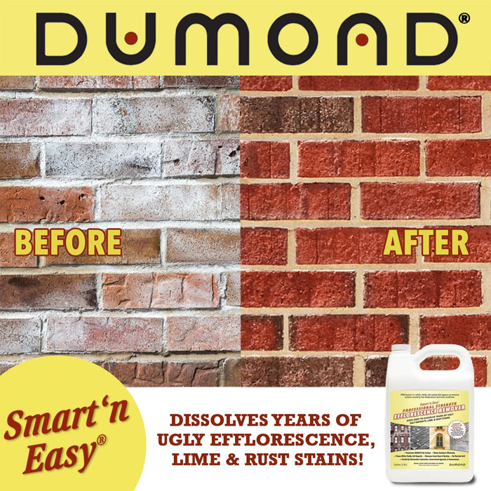 Smart ‘n Easy Efflorescence Remover (1 Gallon)-Dumond-Atlas Preservation