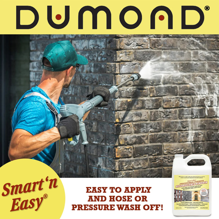 Smart ‘n Easy Efflorescence Remover (1 Gallon)-Dumond-Atlas Preservation