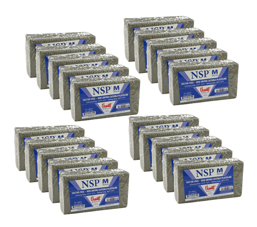 NSP - Medium-Chavant Modeling Clay-Atlas Preservation