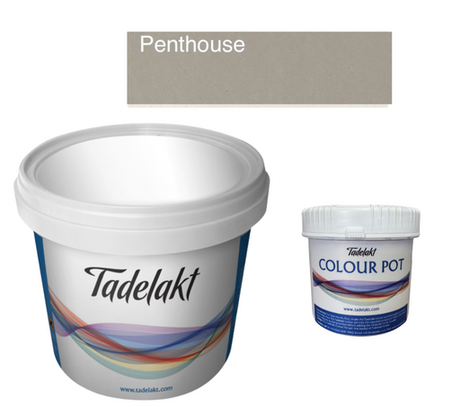 Tadelakt Finish-Tadelakt-Atlas Preservation