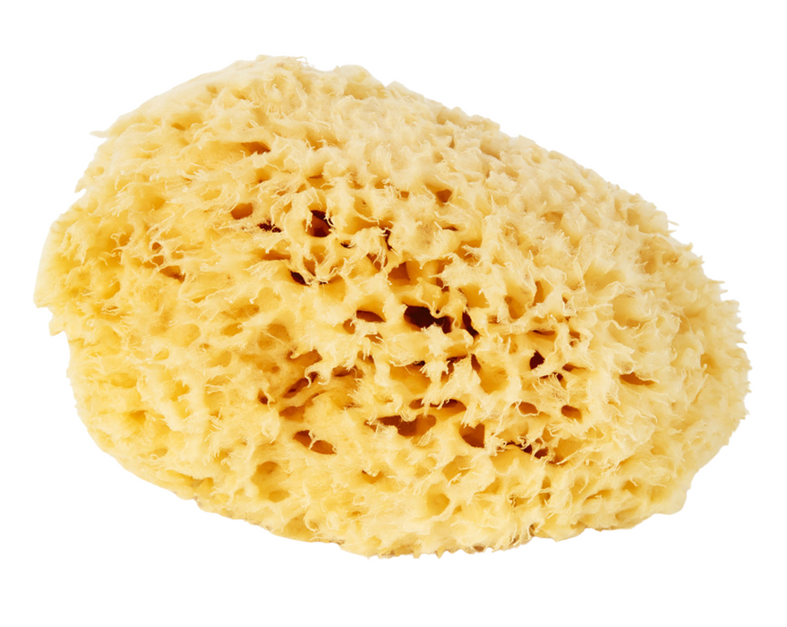 Natural Painting Sponge-Ottosson Färgmakeri-Atlas Preservation