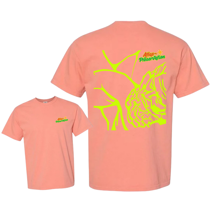 Atlas Spring Summer Tee-Atlas Preservation-Atlas Preservation