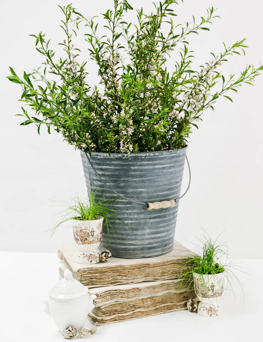 Zinc Antiquing Solution-Amy Howard at Home®-Atlas Preservation