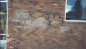 Shadow Max - Removes shadows or "ghosting"-Graffiti Solutions-Atlas Preservation