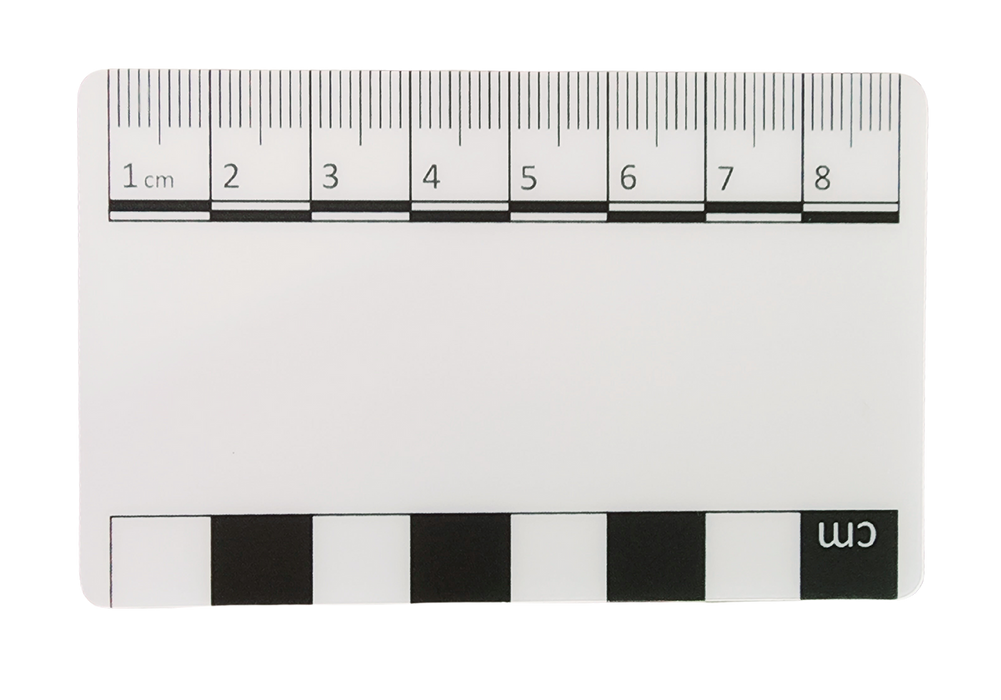 Credit Card Black White Photography Scale Atlas Preservation