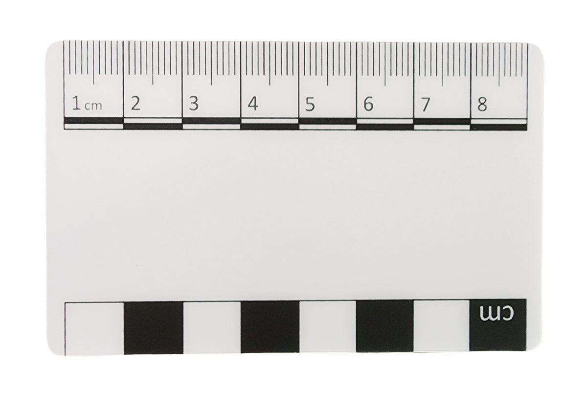 Credit Card Black & White Photography Scale — Atlas Preservation