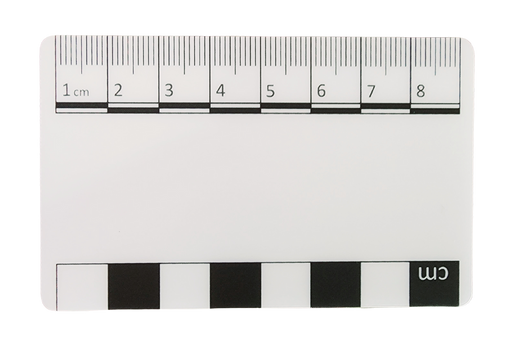 Photographic Scales & Documentation — Atlas Preservation