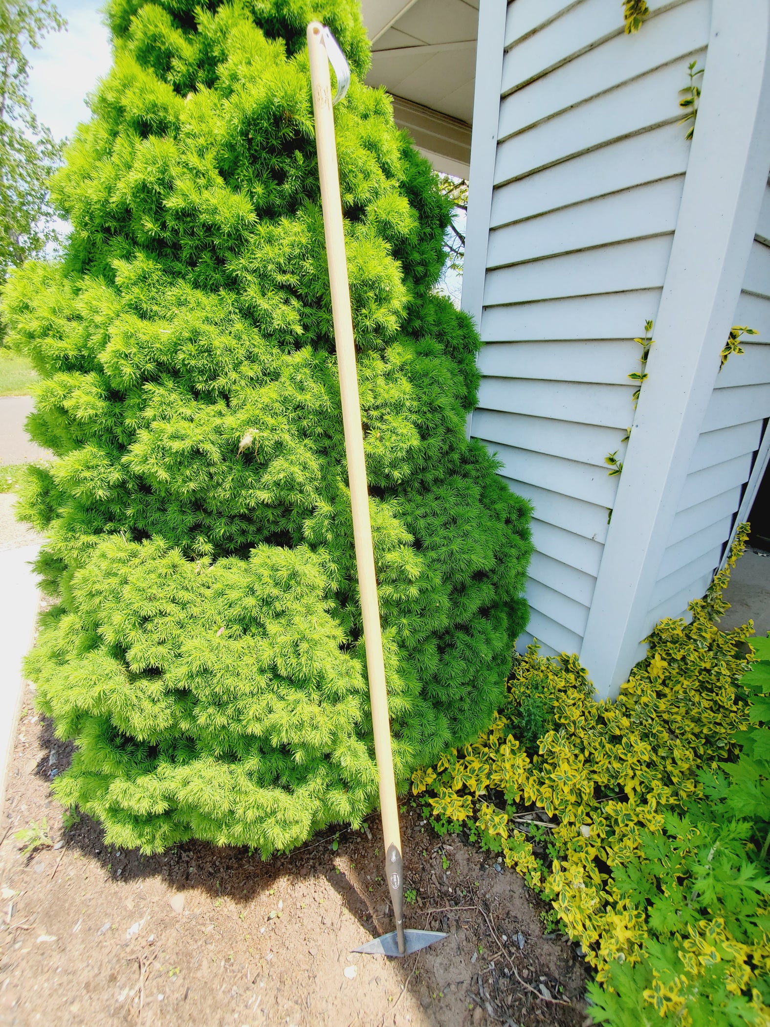 Diamond Push Pull Hoe 60" Handle — Atlas Preservation