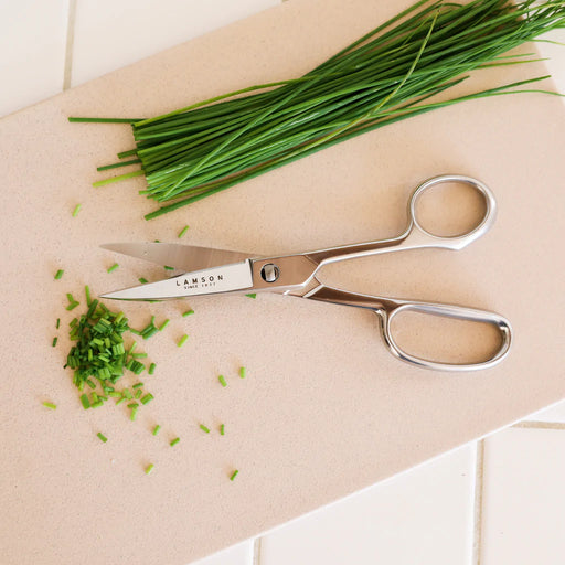 WELLSTAR Pull Apart All-Purpose Kitchen Scissors