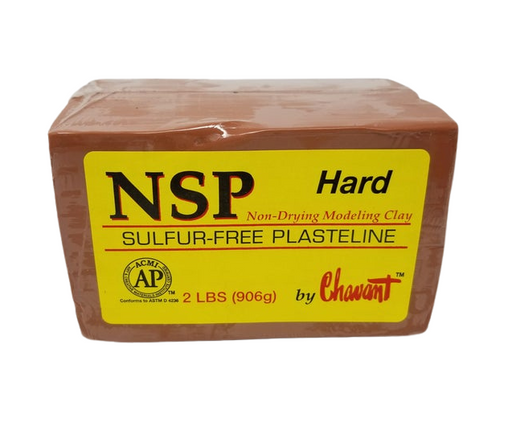 NSP - Hard-Chavant Modeling Clay-Atlas Preservation