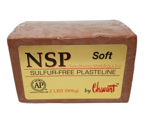 NSP - Soft-Chavant Modeling Clay-Atlas Preservation