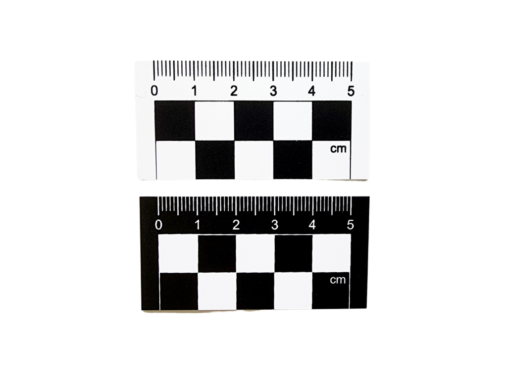 Photographic Scales & Documentation — Atlas Preservation
