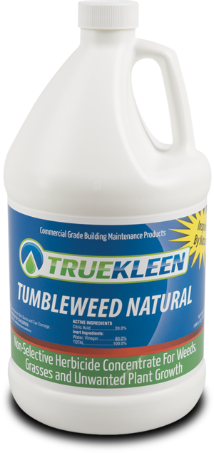 Tumbleweed Natural - 1 Gallon-TrueKleen-Atlas Preservation